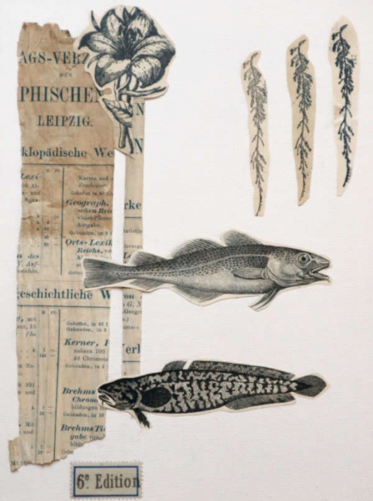 Papier Kunst Collage kreuzende Fische