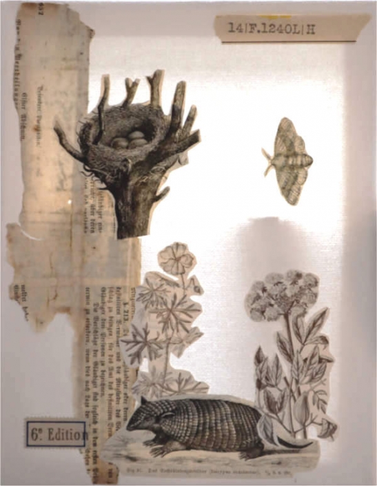Papier Kunst Collage mit Grüteltier